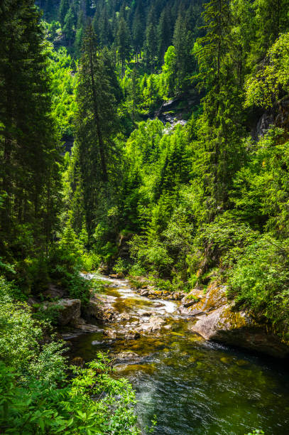 Waterfall in the Malta river in the Maltatal in Carinthia, Austria during a beautiful springtime day in the Central Eastern Alps. The valley is well known for its many waterfalls when the snow high up in the mountains is melting and is  also called the 'Valley of Falling Waters'. There is a scenic route through the vally that runs up to the Kölnbrein Dam.