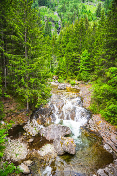 Waterfall in the Malta river in the Maltatal in Carinthia, Austria during a beautiful springtime day in the Central Eastern Alps. The valley is well known for its many waterfalls when the snow high up in the mountains is melting and is  also called the 'Valley of Falling Waters'. There is a scenic route through the vally that runs up to the Kölnbrein Dam.