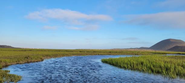 istock Stream of water in a lush green meadow 2062918914