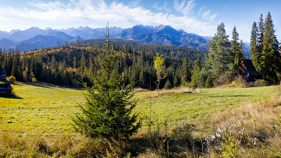 Holidays in Poland - fall view of the Tatra Mountains from Bukowina Tatrzanska