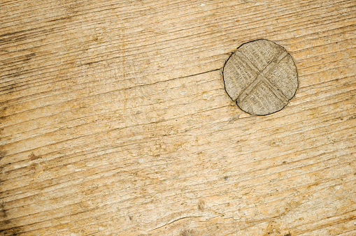 The Top of an old stool, the mounting technology of a stool leg is visible