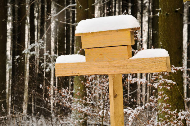 A miniature Swedish Dala-House in typical red and white covered in snow. The background has a clear blue winter sky and a traditional wooden fence. The houses in Dalarna (and Sweden) are red because of a by-product from copper mining. A natural treatment for wood that lets it breathe, protects it from the elements - and looks good. Useful to illustrate the good life on the country, peaceful and close to nature, the impact of the cold season, birding and gardening. Rustic cabin in the woods, weekend country cottage or remote hideaway in the wilderness.
