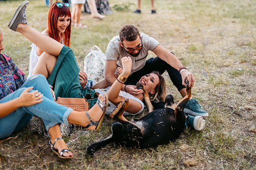 Group of young people sitting on the grass and petting a stray dog at the music festival.