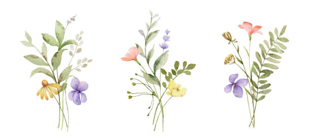 1,107,300+ Wild Flowers Stock Photos, Pictures & Royalty-Free