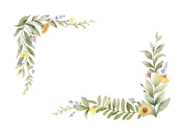 Vector illustration of Watercolor vector flower wreath. Wild field herbs flowers. Design for invitation, card, stationery, wedding, birthday and other printing projects. Holiday decor.  Hand drawn illustration.