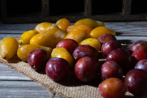 istock Several small yellow and purple plums, very sweet. 2062985674