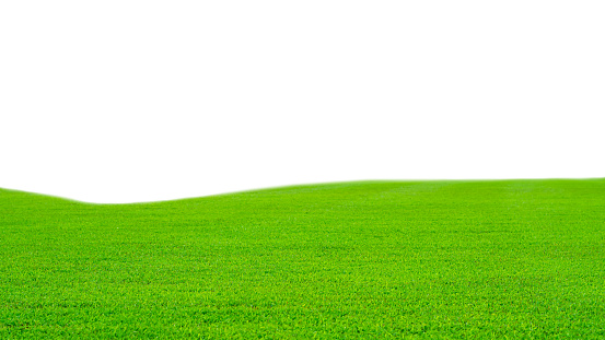 Green grass field isolated on white background with clipping path,Green grass meadow field from outdoor park isolated in white background
