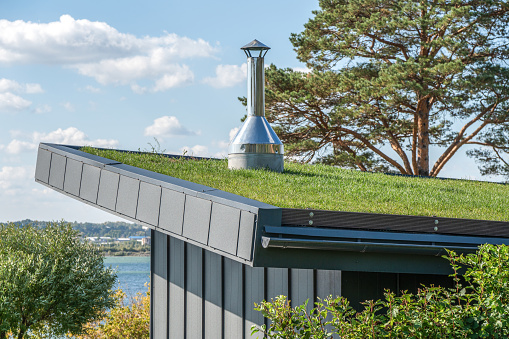 Guest house with metal standing seam facade and lawn on flat roof on lake bank. Sustainable house design at countryside. Building rooftop with grass