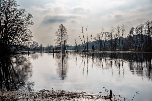 istock Flooded forests and fields, flooding in the natural landscape. 2063062264