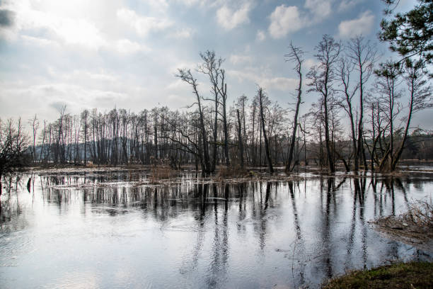 istock Flooded forests and fields, flooding in the natural landscape. 2063062275