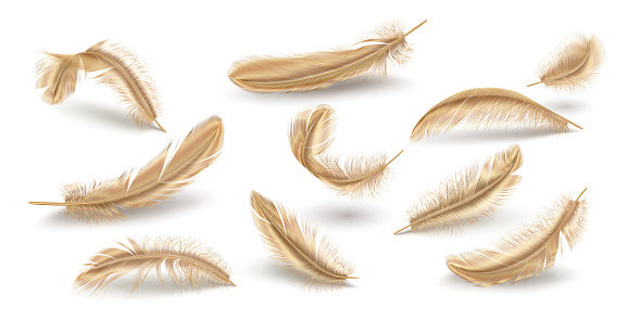 Golden scattered feathers realistic vector illustration set. Shiny plumage details variations. Elegant quills 3d elements on white background