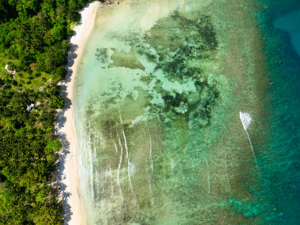 istock Sandy Beach in El Nido, Palawan. Philippines. 2063080636