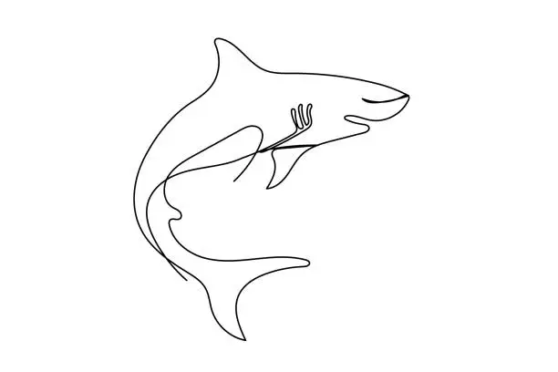 Vector illustration of Shark Fish One Editable Curve Continuous Line Drawn Symbol Element Doodle Icon isolated On White Background
