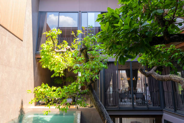 istock beautiful architecture modern simplicity house design tropical style home with swiming pool with courtyard and garden home interior design background concept 2063115284
