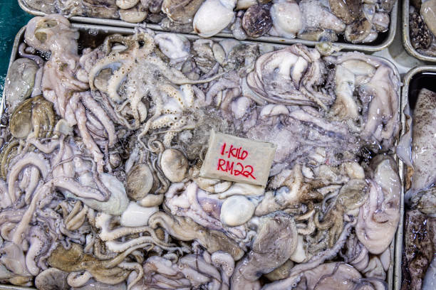Bunch of small octopuses at the central food market in the center of the Malaysian capital Kuala Lumpur