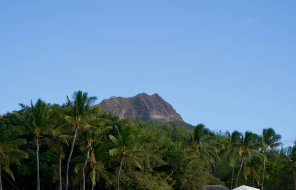 diamond head y palmeras vistas desde la carretera a lo largo de la playa de waikiki - hawaii islands big island waikiki beach fotografías e imágenes de stock