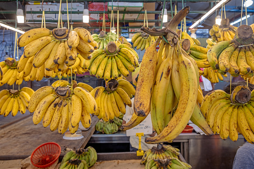 Different kinds and sizes of bananas for sale in the central market in the Malaysian capital Kuala Lumpur