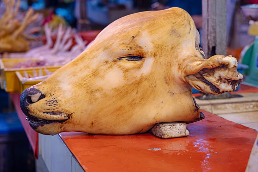 Head of a freshly slaughtered cow with its hair removed at the central food market in the Malaysian capital Kuala Lumpur