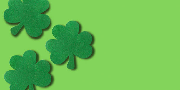istock Banner for Patrick's day with clover leaves on green background. 2063128668