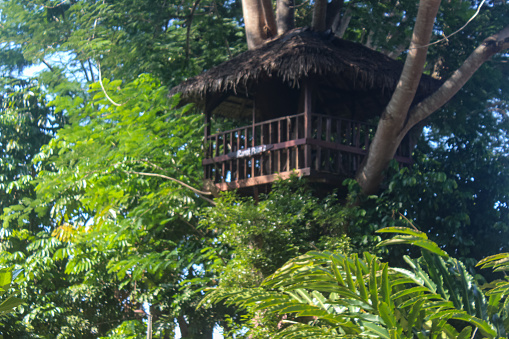 tree house in the garden made of wood as the main material