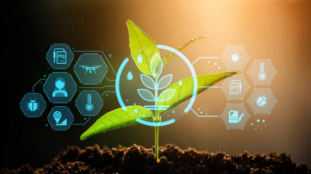 istock The Sapling are growing from the soil with sunlight and carbon dioxide absorb cycle 2063149512