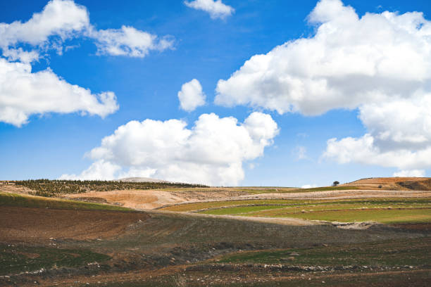 Agricultural fields and mountain landscape