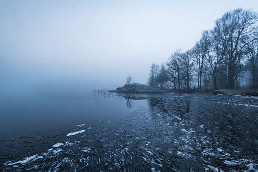A body of water covered in ice lies next to a dense forest. The frozen lake reflects the barren trees in the surrounding forest.
