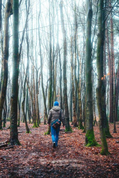 istock Mysterious man walking in cold misty forest 2063186793