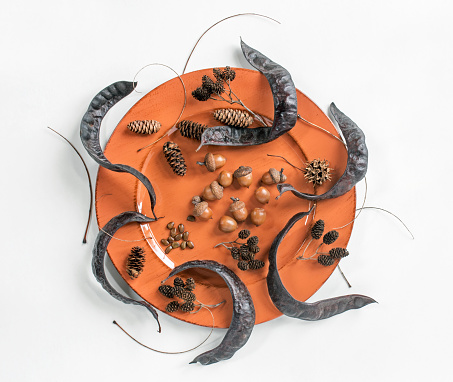 Orange plate with dried honey locust pods and seeds, acorns, pine cones and Sweet Gum seed pod on white background.