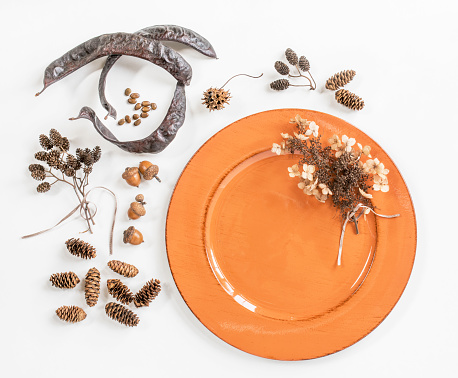 Orange plate with dried honey locust pods and seeds, acorns, pine cones, Sweet Gum seed pod and Hydrangea bloom on white background.