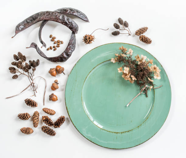 istock Green Plate with Various Autumn Nature Items 2063192635