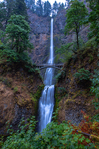 Multnomah Falls in the Columbia River Gorge