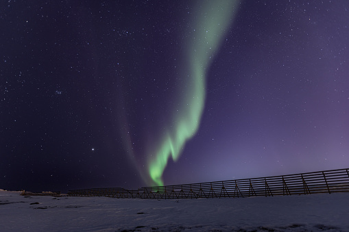 Beautiful northern lights (aurora borealis) on clear sky.\nNorthern Norway  - Hammerfest.