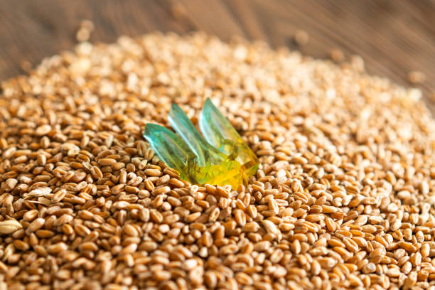 Wheat grains with yellow and blue Ukrainian flag on wooden background. Export, sale, import of Ukrainian grain. Ukrainian grain.