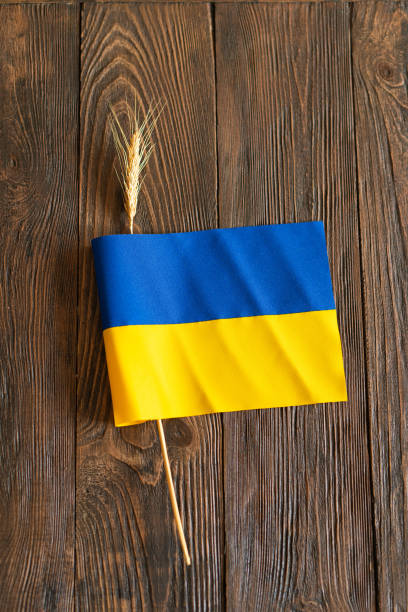 istock Wheat grains with yellow and blue Ukrainian flag 2063242805