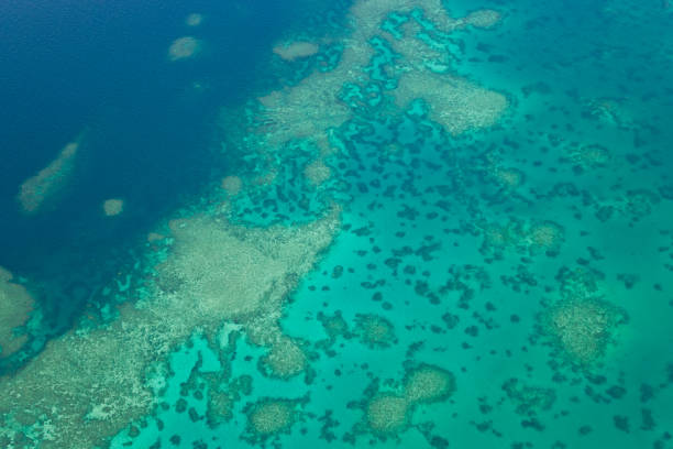 istock Great Barrier Reef, North Queensland, Australia 2063243943