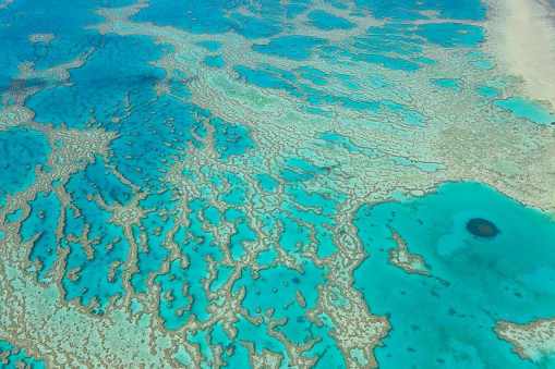 Aerial capture of coral san cay and Great Barrier Reef with clear blue water, Queensland, Australia