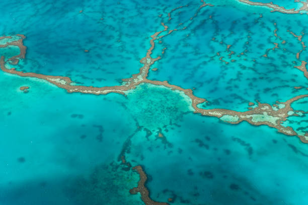 Great Barrier Reef, Queensland, Australia