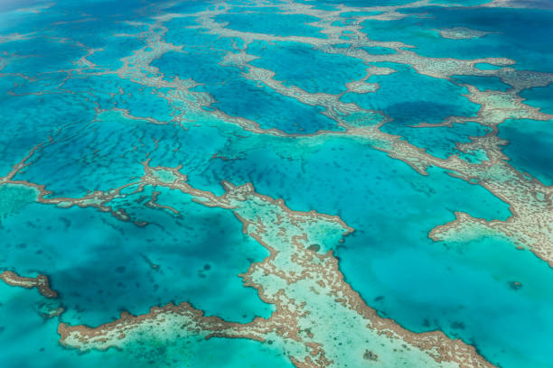 istock Great Barrier Reef, Queensland, Australia 2063244063