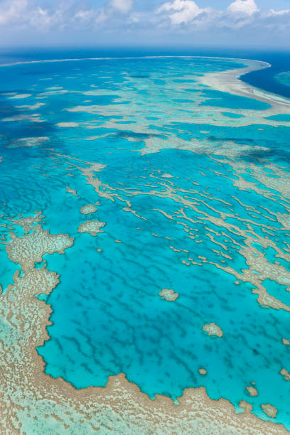 istock Great Barrier Reef, Queensland, Australia 2063244067