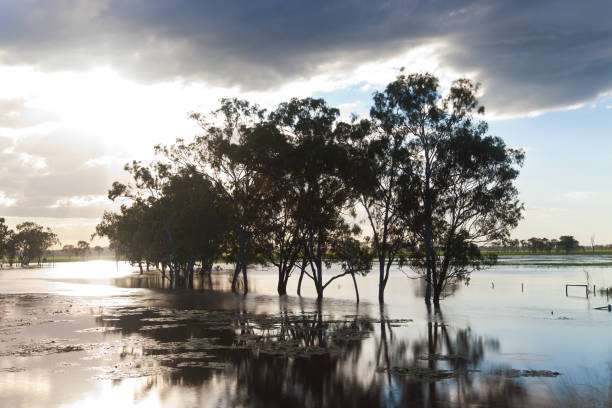 Swollen Grobbelaars river filled with muddy water following heavy rains in Oudtshoorn, Western Cape, South Africa