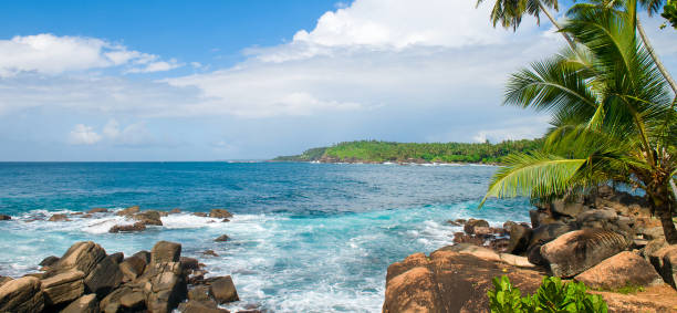 istock tropical beach with palm trees on the shore. Wide photo. 2063248523