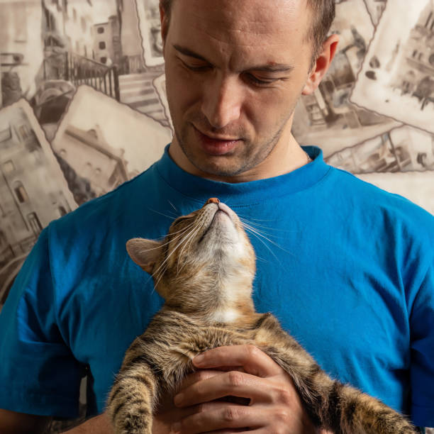 Cat looks at its owner with loving eyes