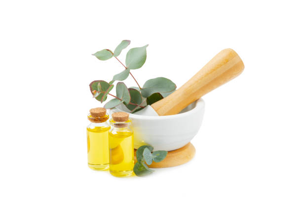 istock Eucalyptus leaves and mortar isolated on white background.Spa concept.Ingredients for alternative medicine and natural cosmetics. A bottle of essential oil and a bunch of eucalyptus. Organic skin care 2063269000