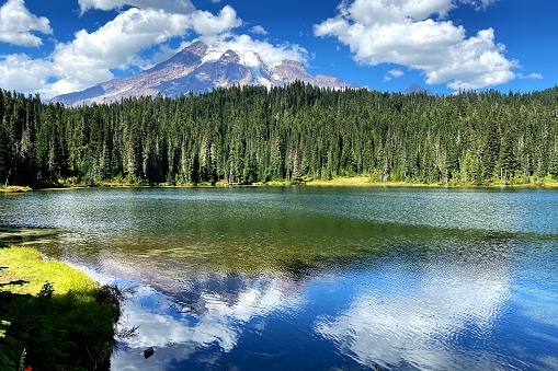 Reflection of Mount Rainier in Reflection Lake on a sunny summer day
