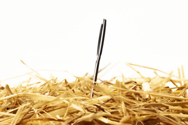 Needle Ina Haystack Gif 330+ Needle In A Haystack Stock Photos, Pictures & Royalty-Free Images ...