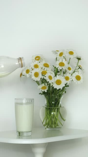 Pouring milk in the glass from bottle at white background, vase with a chamomiles flowers near on table