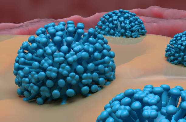 istock Influenza (flu) virus and mucus in the lung - closeup view 3d illustration 2063376265