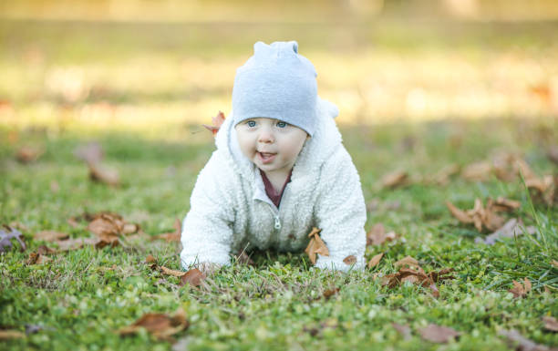 istock Adorable baby crawling in fallen leaves in morning sunlight. 2063384357