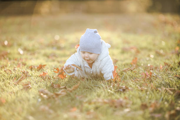 istock Adorable baby crawling in fallen leaves in morning sunlight. 2063384363